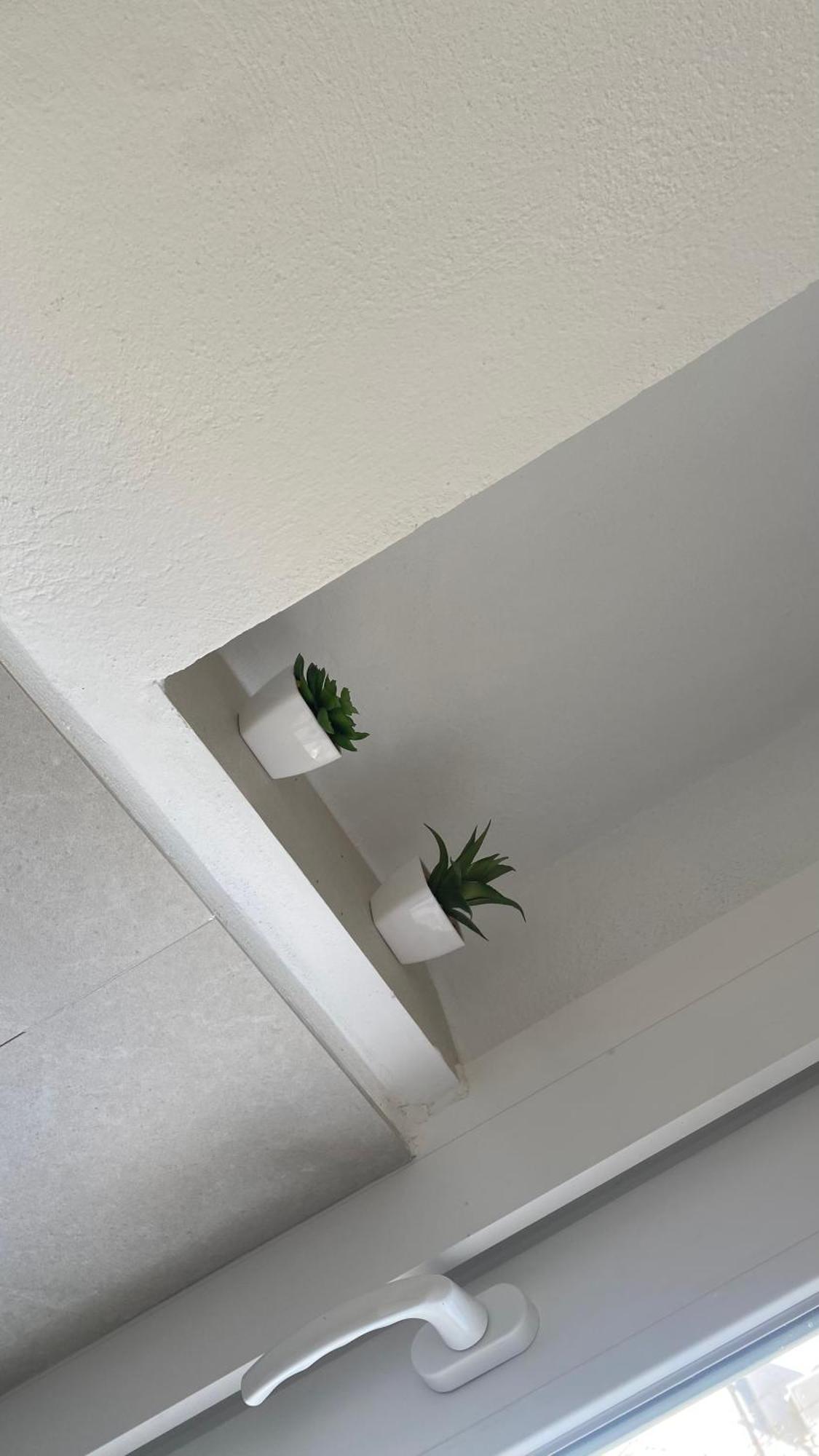 Plaza Andalucia Apartment -A 10Min Caminando Del Puente Romano Córdoba Kültér fotó